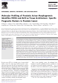 Cover page: Molecular Profiling of Prostatic Acinar Morphogenesis Identifies PDCD4 and KLF6 as Tissue Architecture–Specific Prognostic Markers in Prostate Cancer
