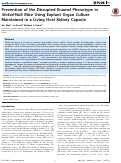 Cover page: Prevention of the Disrupted Enamel Phenotype in Slc4a4-Null Mice Using Explant Organ Culture Maintained in a Living Host Kidney Capsule