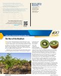 Cover page: The Rise of the Kiwifruit