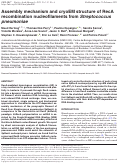 Cover page: Assembly mechanism and cryoEM structure of RecA recombination nucleofilaments from Streptococcus pneumoniae