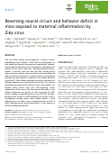 Cover page: Reversing neural circuit and behavior deficit in mice exposed to maternal inflammation by Zika virus