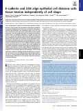 Cover page: E-cadherin and LGN align epithelial cell divisions with tissue tension independently of cell shape.