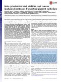 Cover page: Beta cyclodextrins bind, stabilize, and remove lipofuscin bisretinoids from retinal pigment epithelium