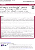 Cover page: ATP-evoked intracellular Ca2+ transients shape the ionic permeability of human microglia from epileptic temporal cortex