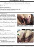 Cover page: A Case of Necrotic Skin Lesions on the Abdomen