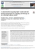 Cover page: A mitochondria-targeting lipid–small molecule hybrid nanoparticle for imaging and therapy in an orthotopic glioma model