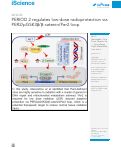 Cover page: PERIOD 2 regulates low-dose radioprotection via PER2/pGSK3β/β-catenin/Per2 loop