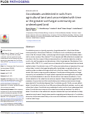 Cover page: Coccidioides undetected in soils from agricultural land and uncorrelated with time or the greater soil fungal community on undeveloped land