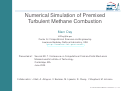 Cover page: Numerical simulation of premixed turbulent methane combustion