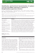 Cover page: Identification and functional characterization of soybean root hair microRNAs expressed in response to Bradyrhizobium japonicum infection.