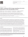 Cover page: CHEK1 coordinates DNA damage signaling and meiotic progression in the male germline of mice.