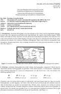 Cover page: Final proposal to encode Anatolian Hieroglyphs in the SMP of the UCS