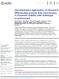 Cover page: Age-dependent aggregation of ribosomal RNA-binding proteins links deterioration in chromatin stability with challenges to proteostasis