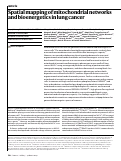 Cover page: Spatial mapping of mitochondrial networks and bioenergetics in lung cancer