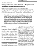 Cover page: Energy and carbon metabolisms in a deep terrestrial subsurface fluid microbial community.