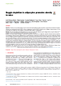Cover page: Noggin depletion in adipocytes promotes obesity in mice