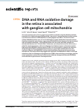 Cover page: DNA and RNA oxidative damage in the retina is associated with ganglion cell mitochondria.