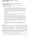 Cover page: Iridociliary adenoma in a greater sulfur-crested cockatoo (Cacatua galerita galerita).