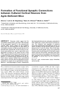 Cover page: Formation of functional synaptic connections between cultured cortical neurons from agrin-deficient mice.