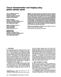 Cover page: Tissue characterization and imaging using photon density waves