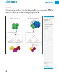 Cover page: Chronic lymphocytic leukemia B-cell-derived TNFα impairs bone marrow myelopoiesis.
