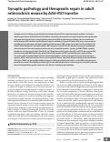 Cover page: Synaptic pathology and therapeutic repair in adult retinoschisis mouse by AAV-RS1 transfer