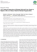 Cover page: AAV Induced Expression of Human Rod and Cone Opsin in Bipolar Cells of a Mouse Model of Retinal Degeneration