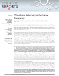 Cover page: Waveform Selectivity at the Same Frequency