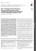 Cover page: GLP-1 Cleavage Product Reverses Persistent ROS Generation After Transient Hyperglycemia by Disrupting an ROS-Generating Feedback Loop