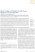 Cover page: Genetic Analysis of Fibroblast Growth Factor Signaling in the Drosophila Eye