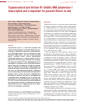 Cover page: Trypanosoma brucei histone H1 inhibits RNA polymerase I transcription and is important for parasite fitness in vivo.