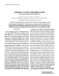 Cover page: Expression of a set of head-specific genes during Drosophila development