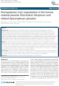 Cover page: Homopolymer tract organization in the human malarial parasite Plasmodium falciparum and related Apicomplexan parasites.