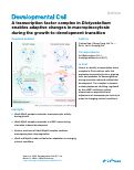 Cover page: A transcription factor complex in Dictyostelium enables adaptive changes in macropinocytosis during the growth-to-development transition