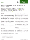 Cover page: α-Actinin-1 promotes activity of the L-type Ca<sup>2+</sup> channel Ca<sub>v</sub> 1.2.