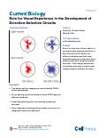Cover page: Role for Visual Experience in the Development of Direction-Selective Circuits