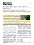 Cover page: Effects of Magnetite Nanoparticles on Soybean Chlorophyll