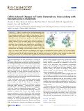 Cover page: Cofilin-Induced Changes in F‑Actin Detected via Cross-Linking with Benzophenone-4-maleimide