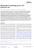 Cover page: Mitochondrial morphology governs ATP production rate.