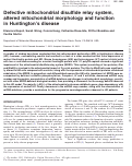 Cover page: Defective mitochondrial disulfide relay system, altered mitochondrial morphology and function in Huntington's disease