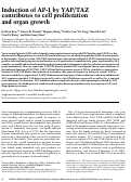 Cover page: Induction of AP-1 by YAP/TAZ contributes to cell proliferation and organ growth