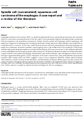 Cover page of Spindle cell (sarcomatoid) squamous cell carcinoma of the esophagus: A case report and a review of the literature.