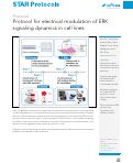 Cover page: Protocol for electrical modulation of ERK signaling dynamics in cell lines