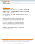 Cover page: The preprophase band-associated kinesin-14 OsKCH2 is a processive minus-end-directed microtubule motor