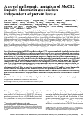 Cover page: A novel pathogenic mutation of MeCP2 impairs chromatin association independent of protein levels.