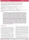 Cover page: Molecular pathways and targets in prostate cancer