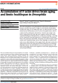 Cover page: Accumulation of F-actin drives brain aging and limits healthspan in Drosophila.