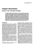 Cover page: Collagen biosynthesis.