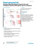 Cover page: Scaling a Dpp Morphogen Gradient through Feedback Control of Receptors and Co-receptors.