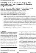 Cover page: Feasibility study on mouse live imaging after spinal cord injury and poly(lactide-co-glycolide) bridge implantation